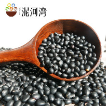 Hot selling Black kidney bean for export and High cost performance